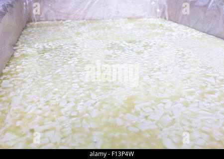 Un bufalo bianco formaggio bulgaro batch in un serbatoio in un piccolo caseificio di famiglia. Il caseificio è specializzata in buffalo yogurt un Foto Stock