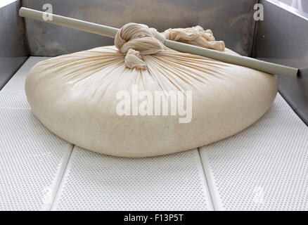 Una donna che lavora in una piccola famiglia creamery è in fase di elaborazione le fasi finali di fabbricazione di una partita di formaggio. Il caseificio è specializzata Foto Stock