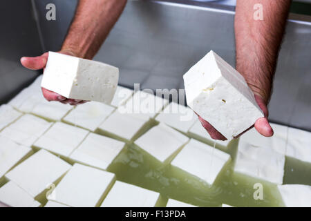 La Feta è un messi in salamoia cagliata di formaggio bianco fatto in Grecia a partire dal latte di pecora, o da una miscela di pecora e di capra latte. Simile messi in salamoia Foto Stock