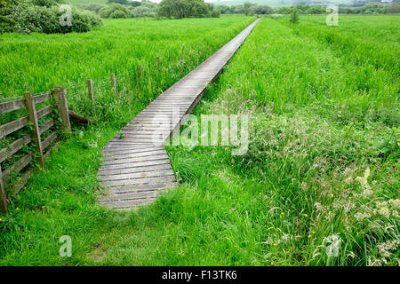 Il Boardwalk attraverso Threave & Carlingwark Loch siti di particolare interesse scientifico, Castle Douglas, Dumfries & Galloway, Scozia Foto Stock