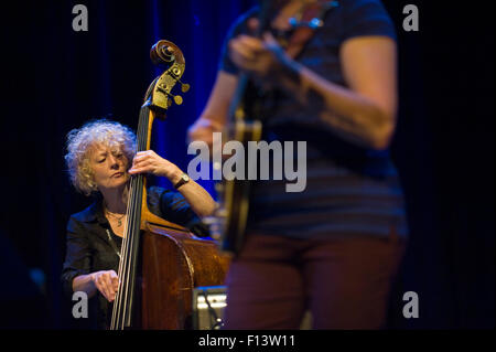 Bass player con Deirdre Cartwright Band & Amici di eseguire sul palco a Brecon Jazz Festival 2015 Foto Stock