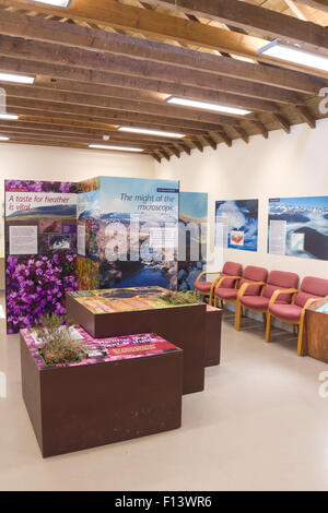 Interno di Dromore Farm Visitor Center, Cairnsmore flotta di riserva naturale nazionale, Valle della flotta di Dumfries & Galloway, Scozia Foto Stock