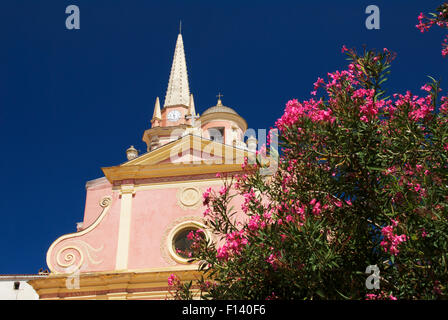 Calvi Église Sainte-Marie de Calvi Foto Stock