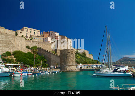 Il porto di Calvi e la Cittadella Foto Stock