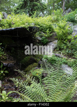 Rivoli di acqua da un aspetto naturale Fontana al Innesfree giardini in Millbrook, New York. Foto Stock