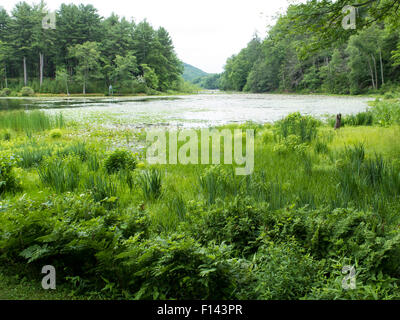 ILake a Innesfree giardini in Millbrook, New York. Foto Stock