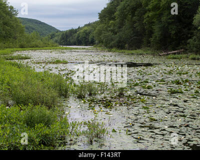 Al centro dei giardini Innesfree in Millbrook, New York è un lago. Foto Stock