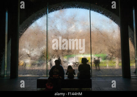 Waterwall della National Gallery of Victoria di Melbourne Foto Stock