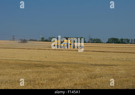 Il veicolo agricolo raccolti di colture di cereali Foto Stock
