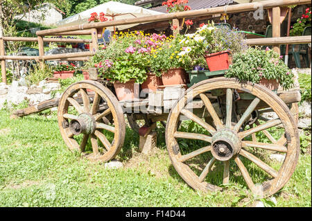 Vecchio carrello di legno con vasi di fiori d'estate Foto Stock