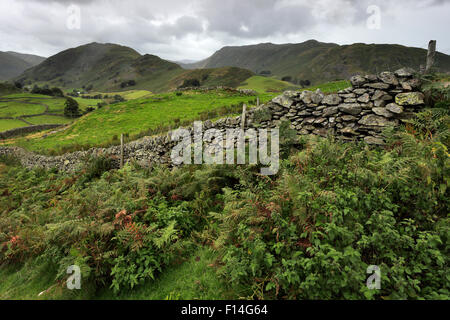 Estate, Martindale valle comune, Parco Nazionale del Distretto dei Laghi, Cumbria County, Inghilterra, Regno Unito. Foto Stock