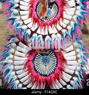 Dettaglio della selvaggina di penna POW WOW COSTUME Ann Arbor Michigan STATI UNITI Foto Stock