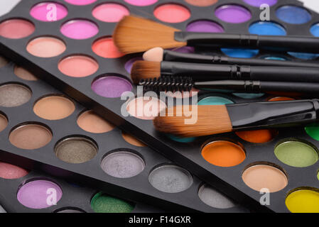 Professional arrossire tavolozza e pennelli cosmetici Foto Stock