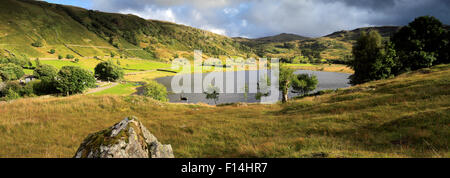 Summer View su Watendlath Tarn, Parco Nazionale del Distretto dei Laghi, Cumbria, England, Regno Unito Foto Stock