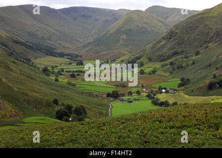 Estate, Martindale valle comune, Parco Nazionale del Distretto dei Laghi, Cumbria County, Inghilterra, Regno Unito. Foto Stock