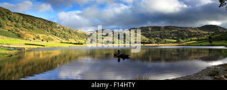 Summer View su Watendlath Tarn, Parco Nazionale del Distretto dei Laghi, Cumbria, England, Regno Unito Foto Stock