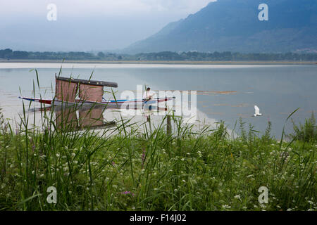 India, Jammu e Kashmir Srinagar, Hazratbal, shikara paddling accanto a Naseem Bagh giardino in riva al lago Foto Stock