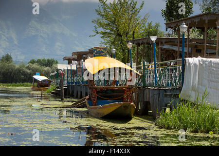 India, Jammu e Kashmir Srinagar, dal lago, colorato shikaras ormeggiato a case galleggianti Foto Stock