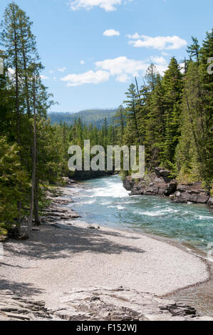 McDonald Creek vista a sud da McDonald Falls, accanto al andando-per-il-Sun Road nel Parco Nazionale di Glacier, Montana, USA. Foto Stock