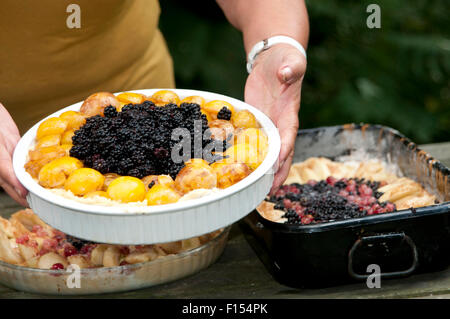 Fatta in casa torta di frutta con frutta fresca Foto Stock