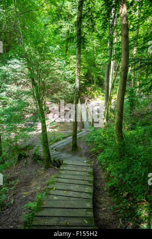 Ripidi passaggi in legno che conduce nel bosco lungo un sentiero in Coalbrookdale Shropshire REGNO UNITO Foto Stock