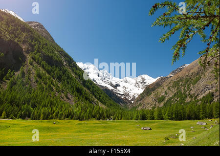 Vista panoramica sulle montagne e la vallata del parco del Gran Paradiso, Italia Foto Stock