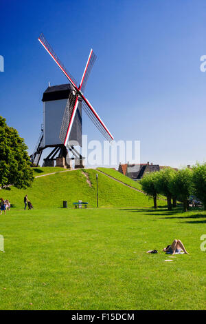 Mulino a vento e prato verde a Brugge - Belgio Foto Stock