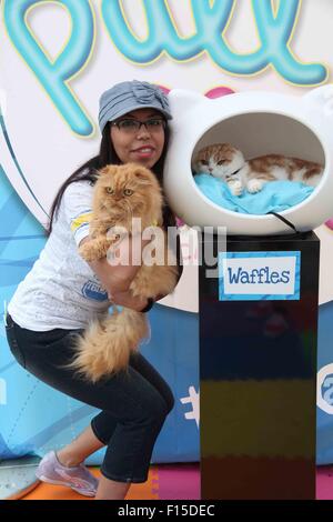 Photocall per tirare Friskies 'N' Play stringa commestibili Cat considera tenuto a Gansevoort Plaza dove: la città di New York, New York, Stati Uniti quando: 26 Giu 2015 Foto Stock