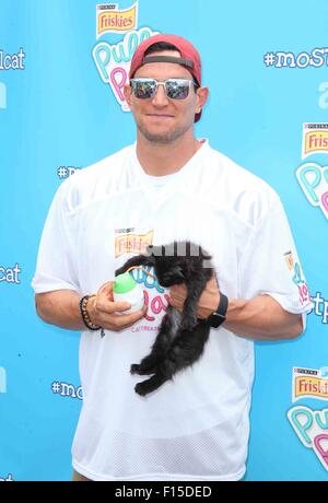 Photocall per tirare Friskies 'N' Play stringa commestibili Cat considera tenuto a Gansevoort Plaza offre: Steve Weatherford dove: la città di New York, New York, Stati Uniti quando: 26 Giu 2015 Foto Stock