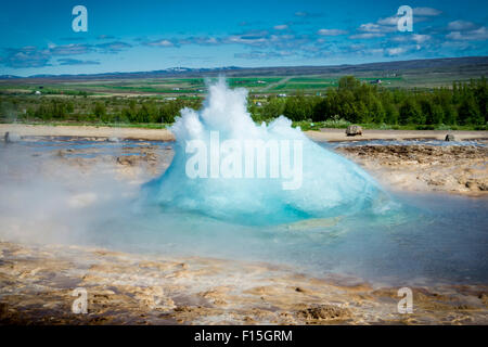 La geotermia, Strokkur geyser in Islanda Foto Stock