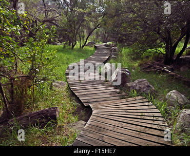 Percorso di legno in un bosco con alberi e gradi Foto Stock
