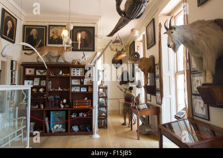 Steward il museo delle curiosità in Old State House Hartford Connecticut edificio Foto Stock