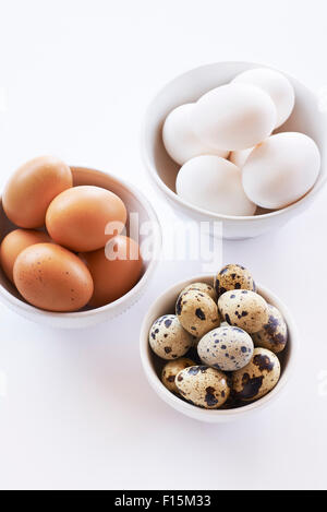 Marrone e bianco uova di pollo e uova di quaglia in tre bocce, studio shot su sfondo bianco Foto Stock