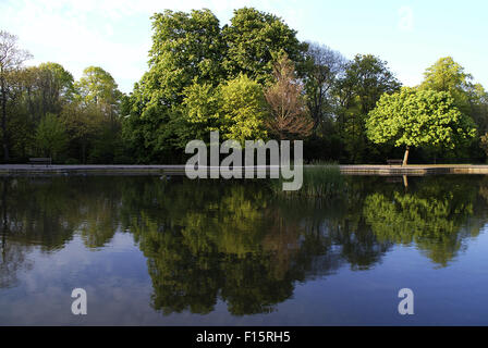 La riflessione di alberi su un piccolo lago nel Parco Radnor, Folkestone, Kent Foto Stock