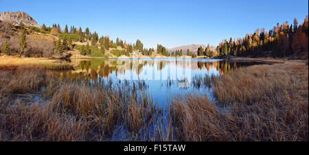 Laghi di Colbricon in autunno, Passo Rolle, il Parco Naturale Paneveggio Pale di San Martino, il Trentino Alto Adige, Dolomiti, Italia Foto Stock