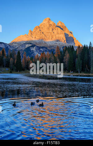 Lago d'Antorno con Tre Cime di Lavaredo al tramonto, Cadore Belluno distretto, Veneto, Dolomiti, Alpi, Italia Foto Stock