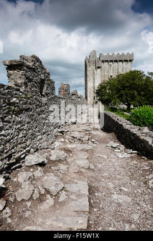 Blarney Castle, nella contea di Cork, Repubblica di Irlanda Foto Stock