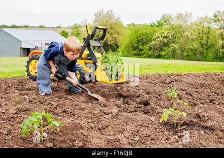 Ragazzo di piantare i pomodori trattore giocattolo Foto Stock