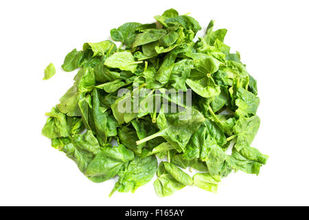 Spinaci freschi lascia isolato su bianco. Foto Stock