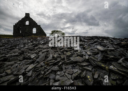Archeologia industriale: il drammatico rovine di Ynys y Pandy ardesia in disuso Mill, Cwmystradllyn, Parco Nazionale di Snowdonia Foto Stock
