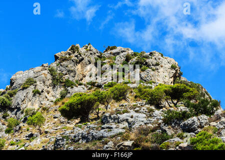 Paesaggio intorno al villaggio bianco Casares Malaga in montagne andaluso, Spagna Foto Stock