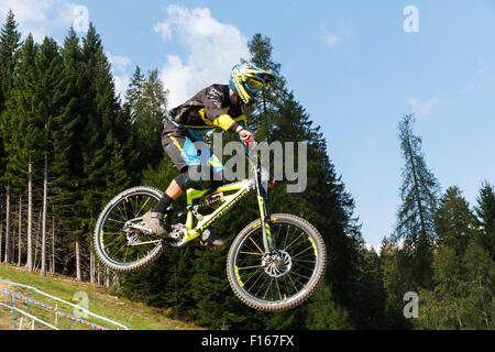 La Val di Sole, Italia - 22 August 2015: Bergamont componenti Hayes Factory Team rider Masters Edward, in azione durante la mens Foto Stock