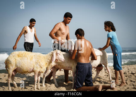 La striscia di Gaza, la Palestina. 28 Agosto, 2015. Palestinesi giocare e nuotare in spiaggia del Mare Mediterraneo come essi godono di un clima caldo e nel nord della Striscia di Gaza. © Ahmed Hjazy/Pacific Press/Alamy Live News Foto Stock