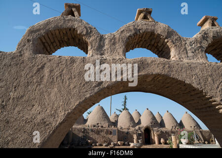 Alveare di tradizionali case. Harran. Anatolia orientale. La Turchia. Foto Stock