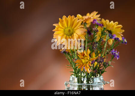 Splendidi fiori in vaso Foto Stock