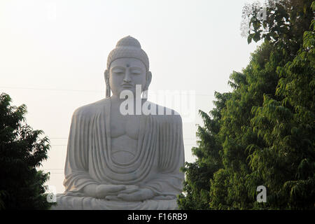 Grande Budda a Bodh Gaya, India Foto Stock