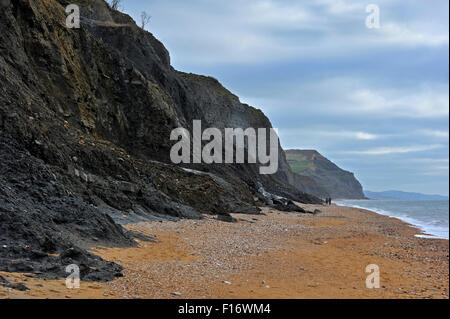 Ven nero frana sulla spiaggia tra Lyme Regis e Charmouth lungo la Jurassic Coast, Dorset, Inghilterra meridionale, Regno Unito Foto Stock