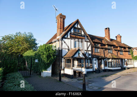 I tre ferri di cavallo casa pubblica nel grazioso villaggio di Surrey di Cranleigh Foto Stock