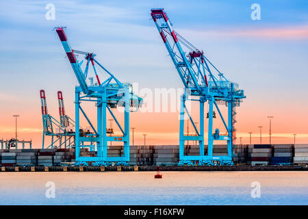 Gigantesca gru dal Newark-Elizabeth terminale marino Foto Stock