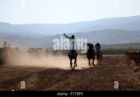 Jenin, West Bank, Territorio palestinese. 28 Agosto, 2015. Concorrenti palestinese prendere parte al secondo round di purosangue arabo delle corse ippiche, in Cisgiordania città di Jinin, Agosto 28, 2015 © Ahmad Talat APA/images/ZUMA filo/Alamy Live News Foto Stock